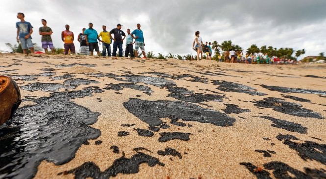 Por causa do óleo, União antecipa a proibição da pesca de camarão e lagosta no litoral nordestino