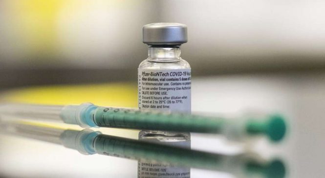 Brasil receberá ainda este mês 51,5 milhões de novas doses da Pfizer e AstraZeneca; 301 milhões de vacinas já foram distribuídas