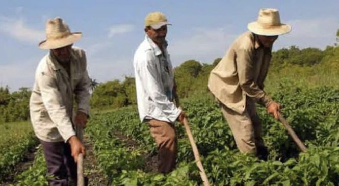 Prefeitura de Frutuoso Gomes beneficia agricultores com auxílio de R$ 850,00
