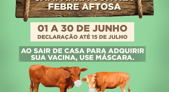 Secretaria de Agricultura de Água Nova/RN, junto com a (EMATER), começou a primeira etapa da campanha de vacinação contra a febre aftosa no Rio Grande do Norte para 2020