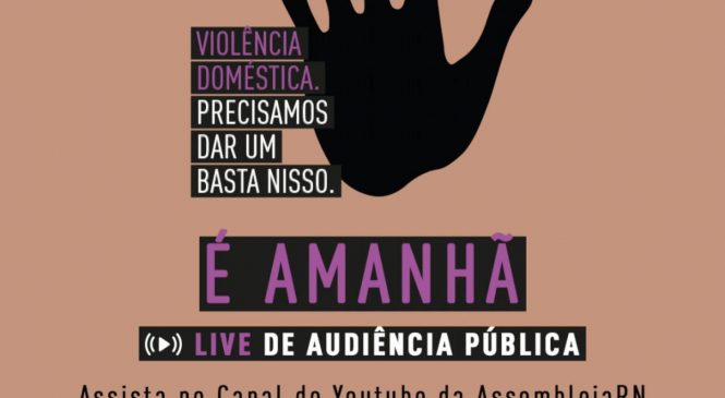 Audiência Pública na Assembleia sobre violência Doméstica