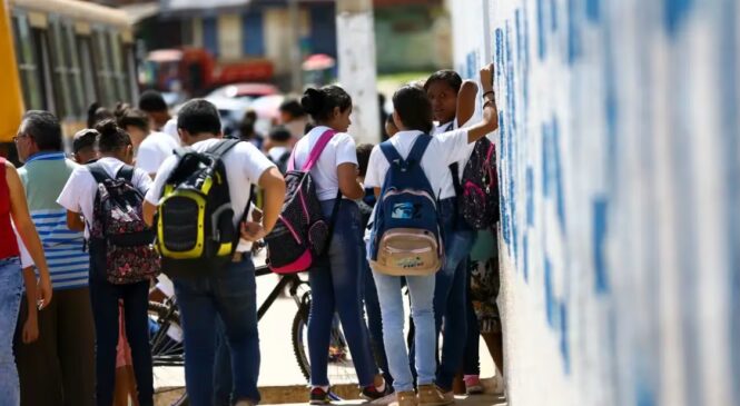 Governo: uma fábrica nacional de analfabetos funcionais