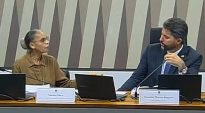 Quando Ser Mulher no Poder Incomoda: O Ataque Misógino à Ministra Marina Silva