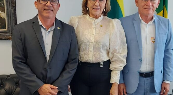 Em nova romaria em Brasília, Zenaide recebe e reforça parceria política com prefeitos e vereadores