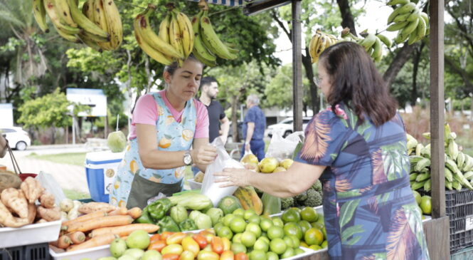 Número de mulheres responsáveis por domicílios no RN é maior que no Brasil