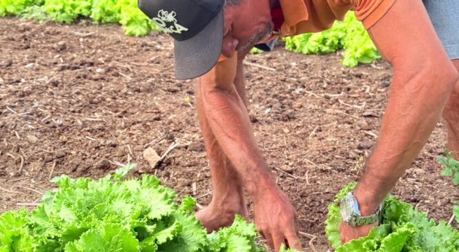 Prefeitura de Martins promove palestra sobre acesso a crédito para agricultores e produtores rurais