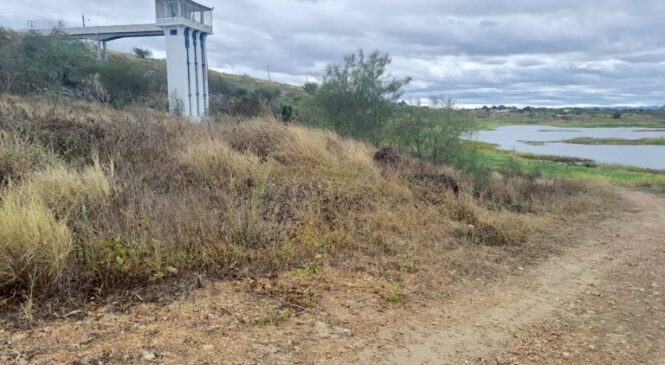 CLIMA: Avanço da seca coloca 74 municípios do Rio Grande do Norte em emergência