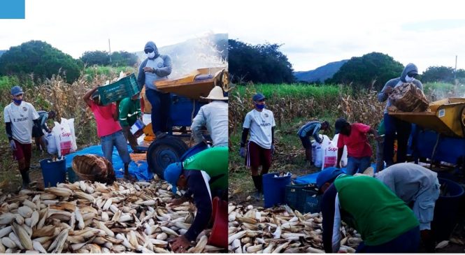 PREFEITO DE VIÇOSA CONTINUA APOIANDO E INCENTIVANDO O HOMEM DO CAMPO