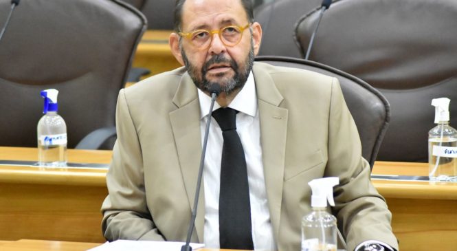 Deputado Gustavo Carvalho crítica o comportamento do governo com os produtores de Camaroes