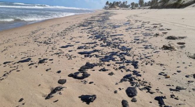 Localidades afetadas pelo vazamento de óleo chegam a 607, segundo Ibama