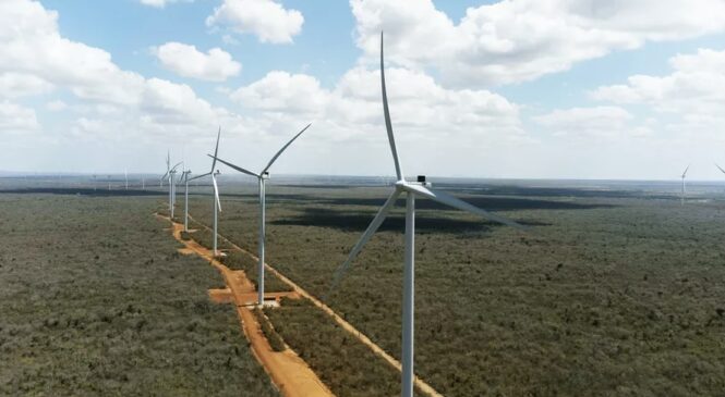RN lidera produção de energia eólica no Brasil e projeta ampliar parques nos próximos anos