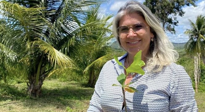 Vereadora Lucia Bessa distribui mudas frutíferas aos agricultores da zona rural de Dr. Severiano