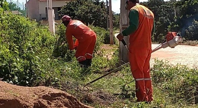 Cidade limpa e organizada tem sido uma das prioridades da Prefeitura de Martins/RN