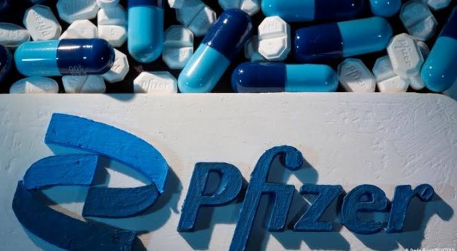 Pfizer diz que pílula contra Covid-19 reduz risco de hospitalização e morte em 89%