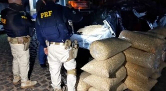 Quase uma tonelada de castanha de Caju é apreendida pela PRF na grande Natal
