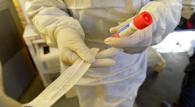 Coronavírus: Ministério da Saúde confirma 11 mortes e 904 casos