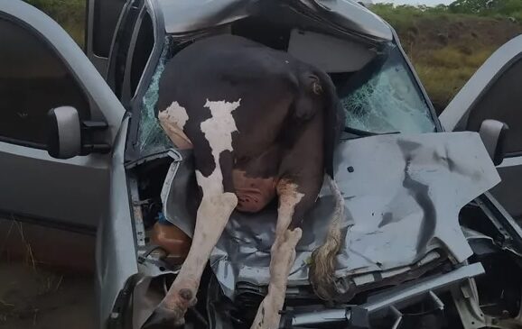 Carro fica destruído após bater em vaca na BR-101 no RN