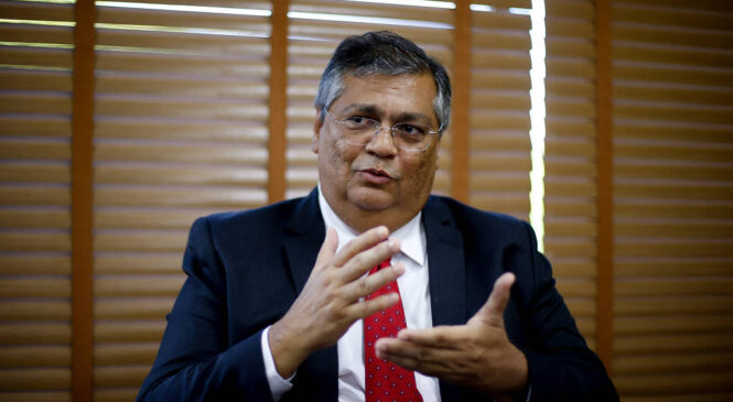 O STF e o direito a creches