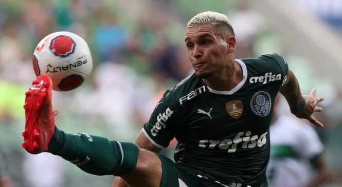 Veiga destaca recorde e comemora gols de Navarro em estreia do Palmeiras na Libertadores