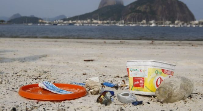 Estudo mostra que 70% dos resíduos do mar brasileiro são planos