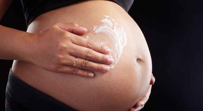 Grávidas do Bolsa Família devem receber repelente