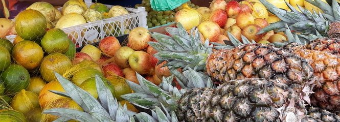 Governo do RN comprou da agricultura familiar mais de R$ 13 milhões em 2020
