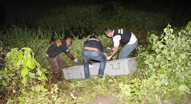 Agricultor é morto com tiro de escopeta 12 na cabeça no Sítio São João da Várzea região de Lagoa de Pau, em Mossoró