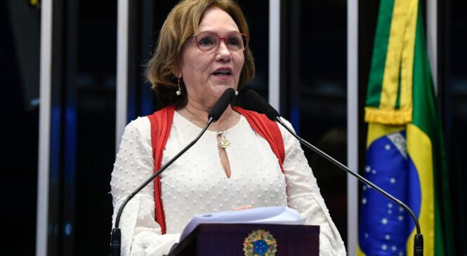 Com relatoria de Zenaide, Senado aprova criação do Dia da Mulher Empresária