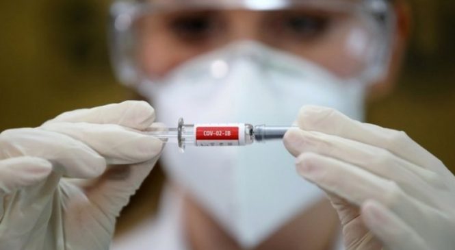 Fake news sobre vacinas contra a covid-19 ameaçam combate à doença