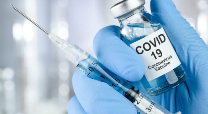 Lei que permite indústrias veterinárias produzirem vacinas é publicada