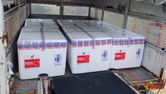 Sesap distribui novo carregamento de vacinas para a Covid-19 nesta sexta-feira (16)