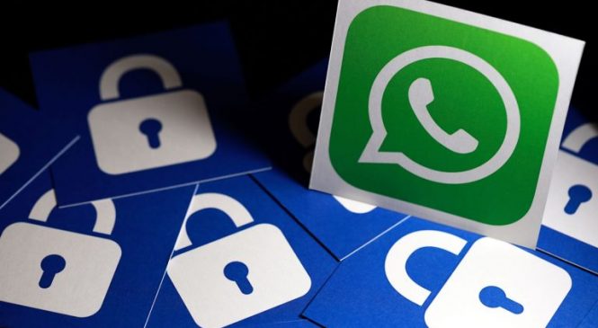 O risco dos perfis falsos e da divulgação de conversas do WhatsApp