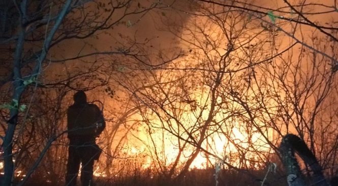Incêndio nas proximidades de Currais Novos
