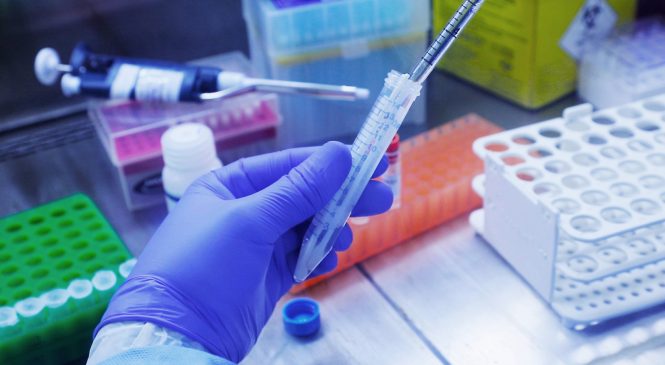 Anvisa: dois casos da variante Ômicron são identificados no Brasil