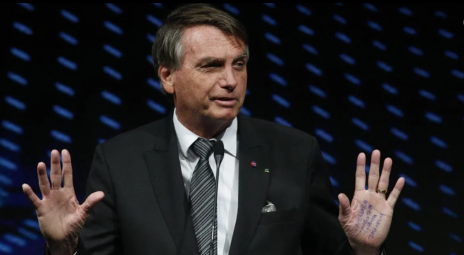 Infratores ambientais priorizam doações a Bolsonaro e apoiadores