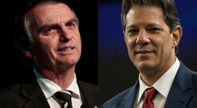 Bolsonaro cai 5% e Haddad cresce de acordo com a pesquisa IBOPE hoje