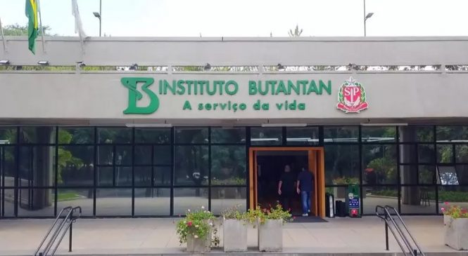 Instituto Butantan estuda criação de vacina única contra a gripe e a Covid-19
