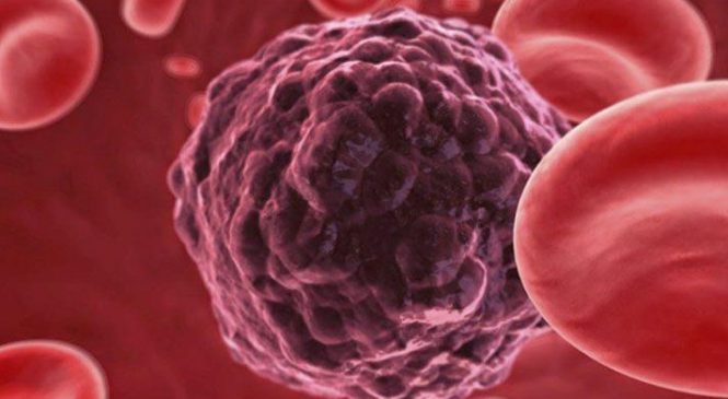 Vacina contra o câncer usa vírus que destrói células