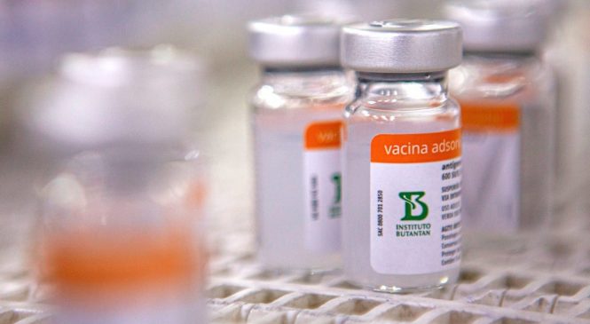 Estudo indica 3ª dose para pessoas acima de 55 anos que tomaram Coronavac