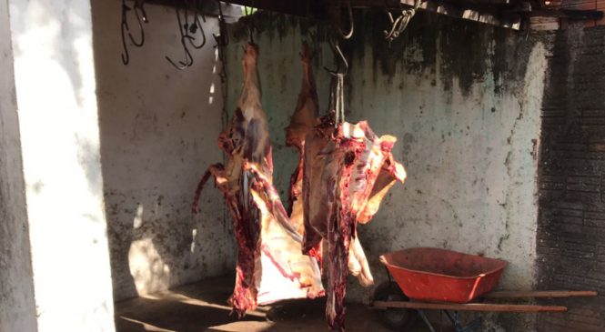 Mossoró: Fiscalização apreende meia tonelada de carne imprópria para consumo