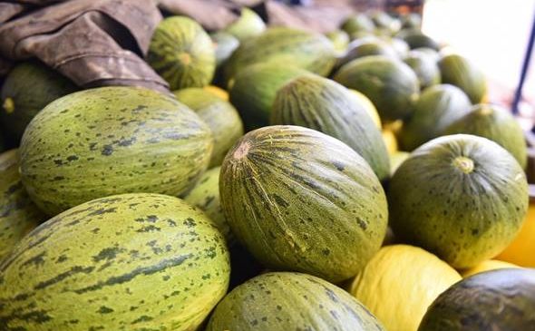 Expofruit anuncia programação científica para retomada do evento em Mossoró
