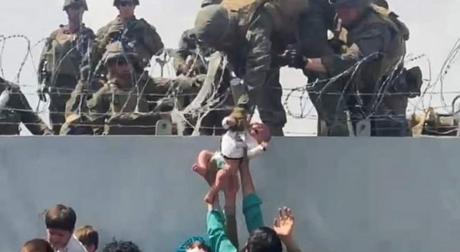 FOTO E VÍDEO: Imagem de bebê entregue a um soldado no muro do aeroporto de Cabul, em meio aos arames farpados, choca, emociona e viraliza