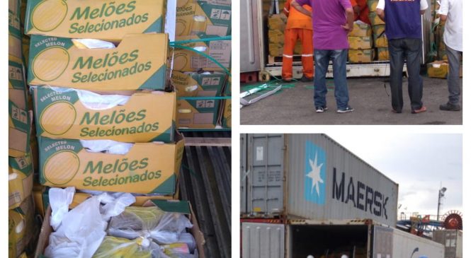 Drogas embarcadas pelo Porto de Natal podem revelar esquema montado no RN, Pernambuco e Minas Gerais