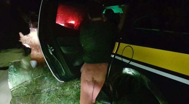 Comerciante é preso em flagrante por exploração sexual de adolescente no RN