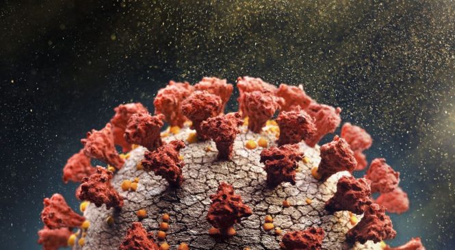 Médica sul-africana diz que pacientes com Ômicron apresentam sintomas “muito leves”