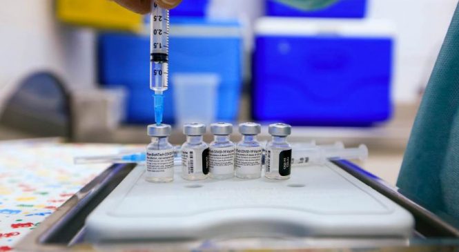 Três doses de Pfizer neutralizam variante Ômicron, anuncia a farmacêutica