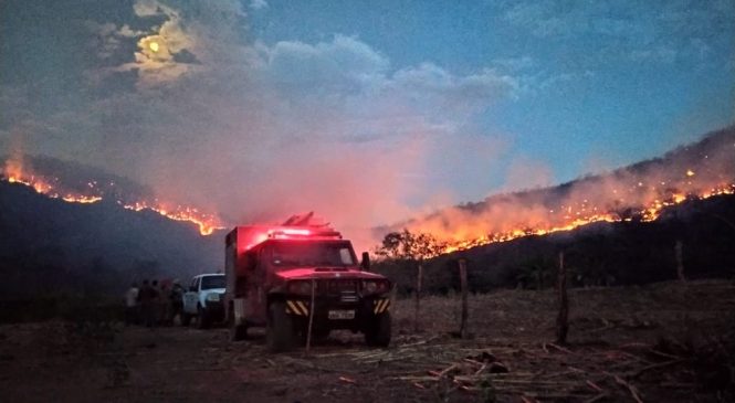 Após seis dias, bombeiros controlam incêndio florestal na serra de Francisco Dantas, RN
