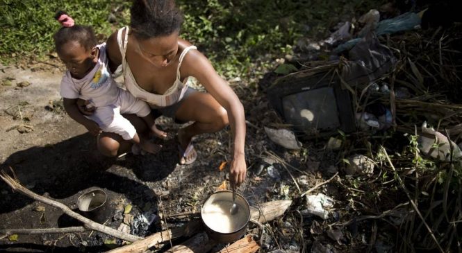 Um quinto das famílias brasileiras já usa lenha ou carvão para cozinhar